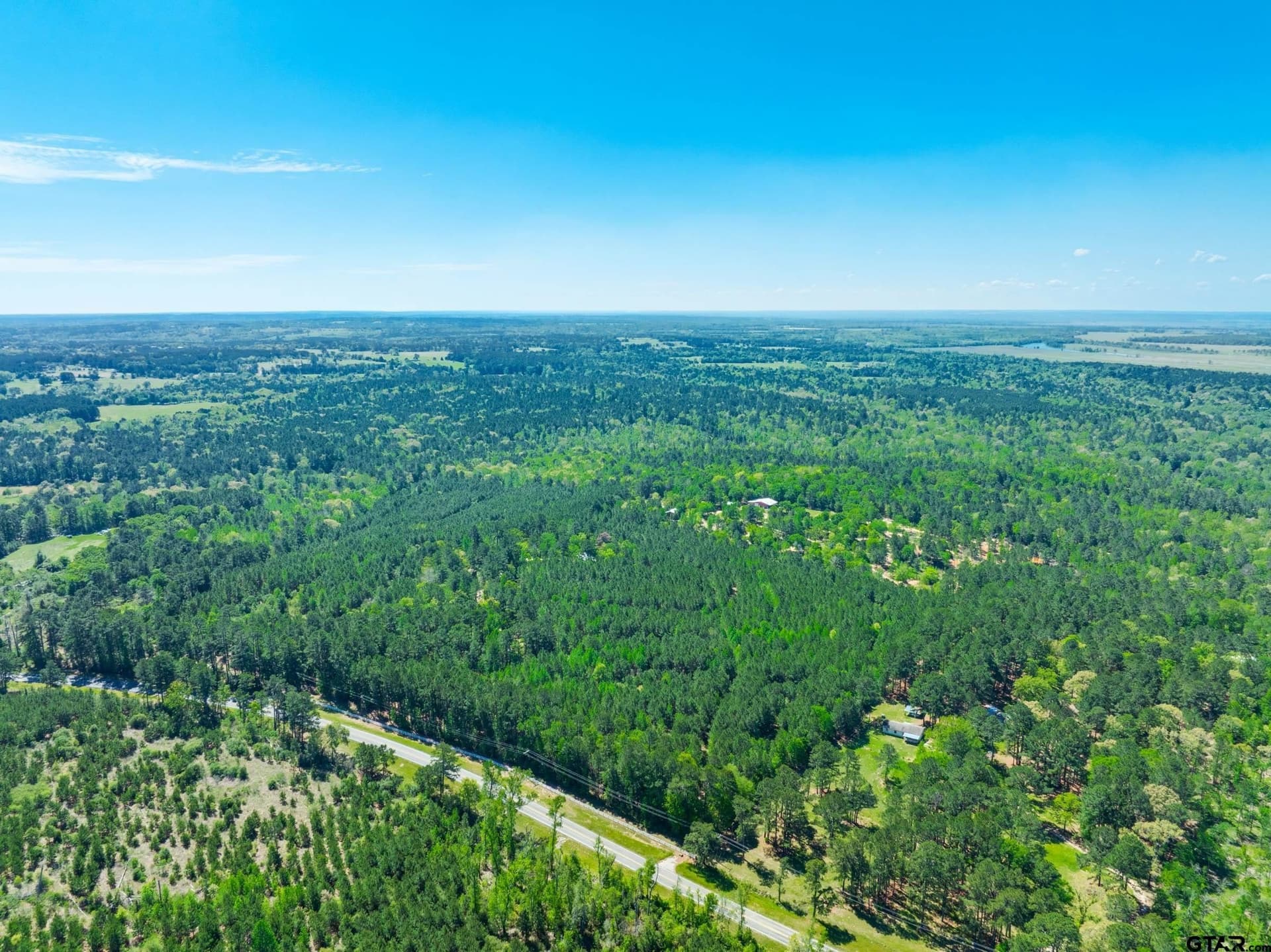 41.06 acres in Anderson County gallery image 3