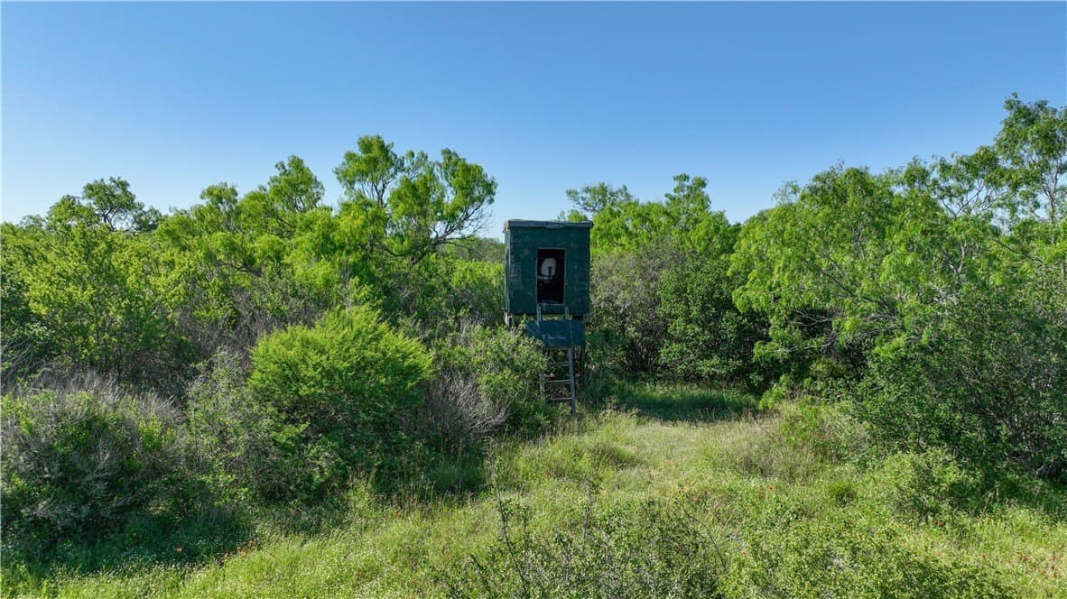 48 acres in Live Oak County - photo 18