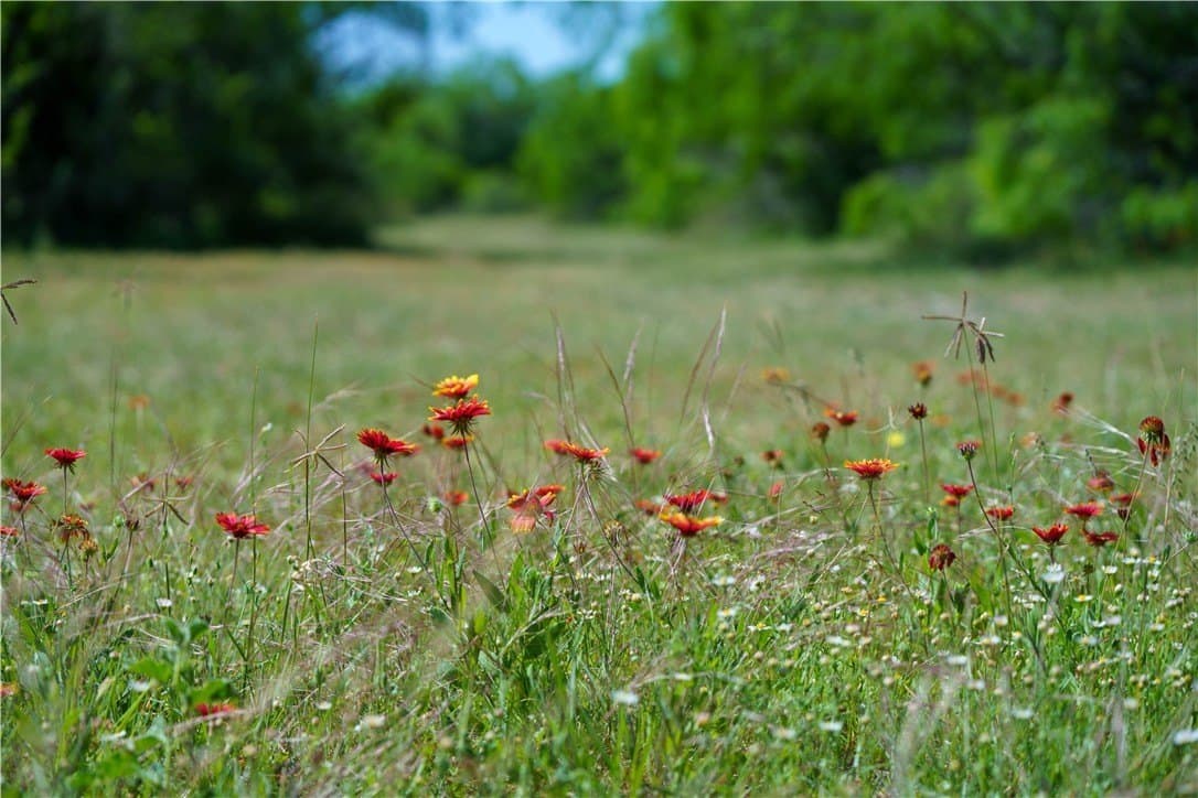 48 acres in Live Oak County - photo 11
