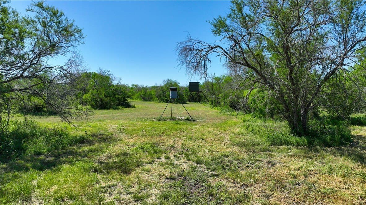 48 acres in Live Oak County - photo 17