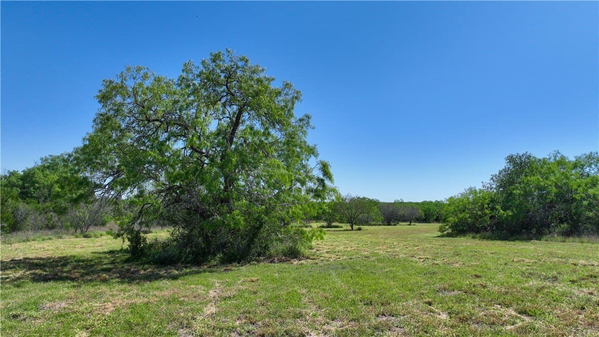 48 acres in Live Oak County - photo 20