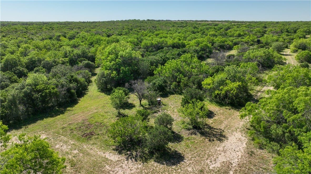 48 acres in Live Oak County