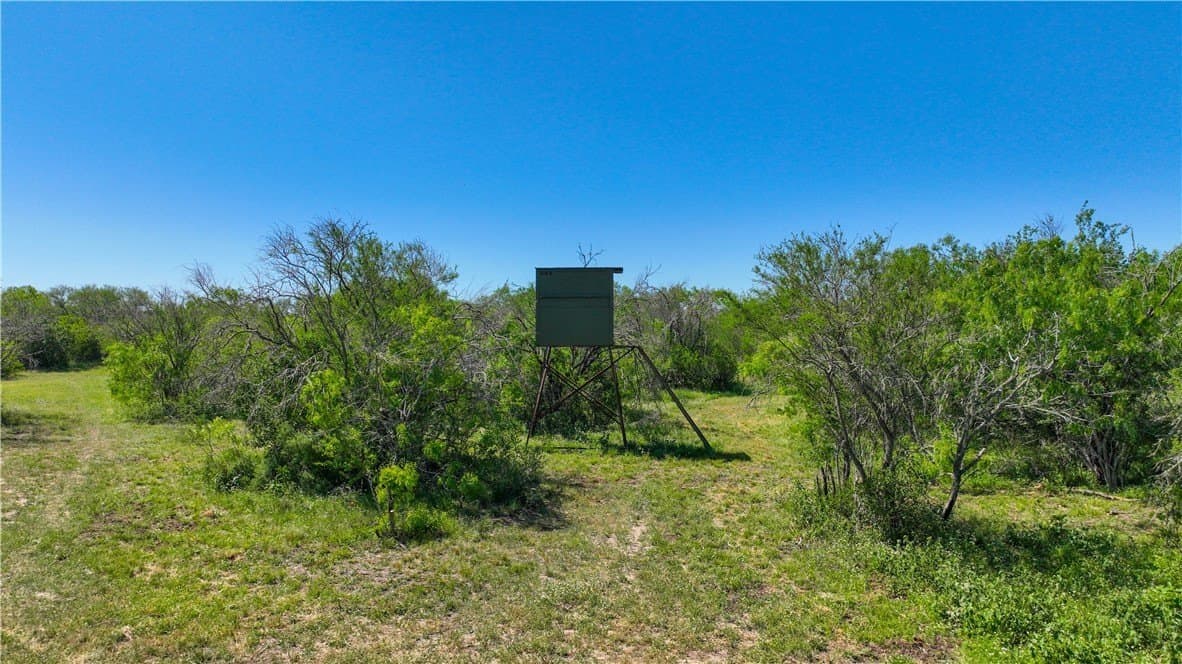 48 acres in Live Oak County featured view