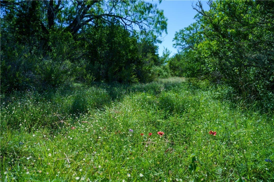 48 acres in Live Oak County - photo 14