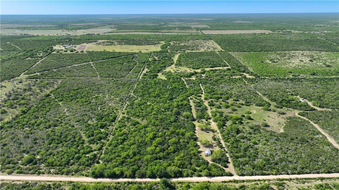 48 acres in Live Oak County gallery image 3