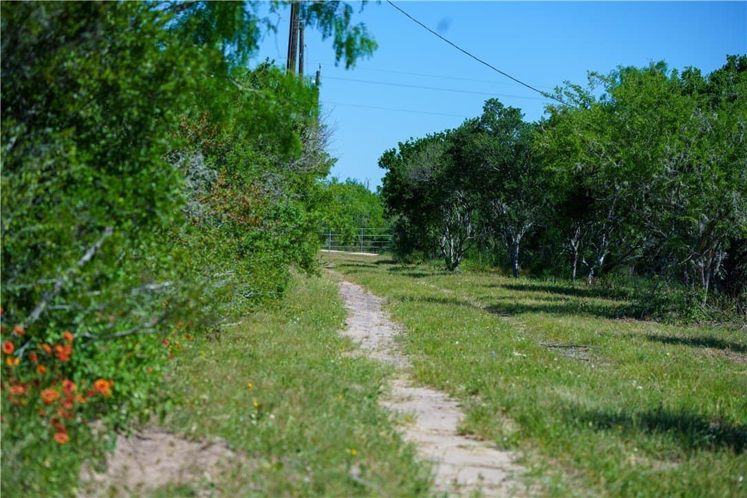 48 acres in Live Oak County - photo 10