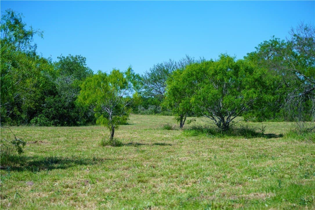48 acres in Live Oak County - photo 15