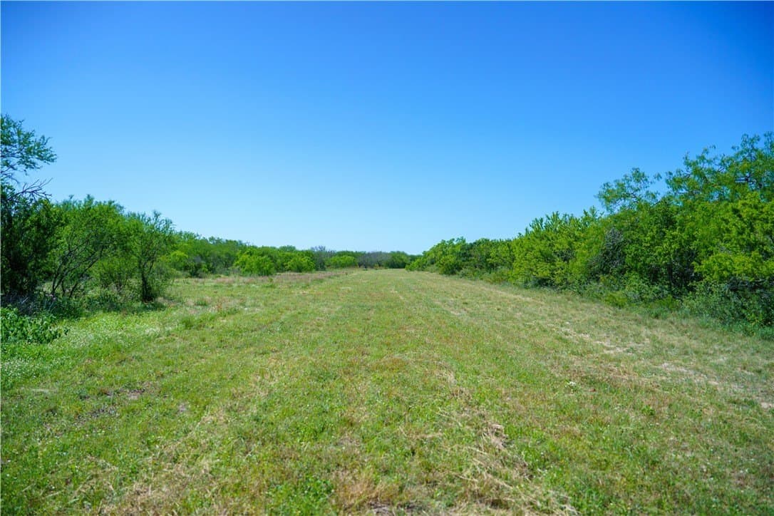 48 acres in Live Oak County - photo 25