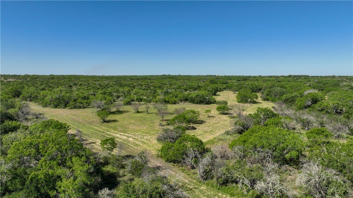 48 acres in Live Oak County gallery image 2