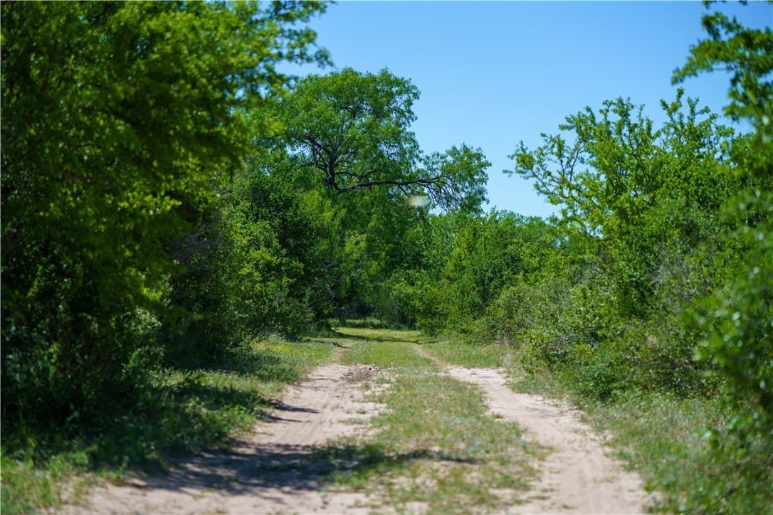 48 acres in Live Oak County - photo 28