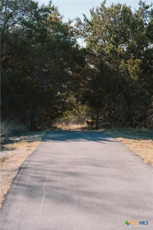 0.94 acres in Bell County - photo 12