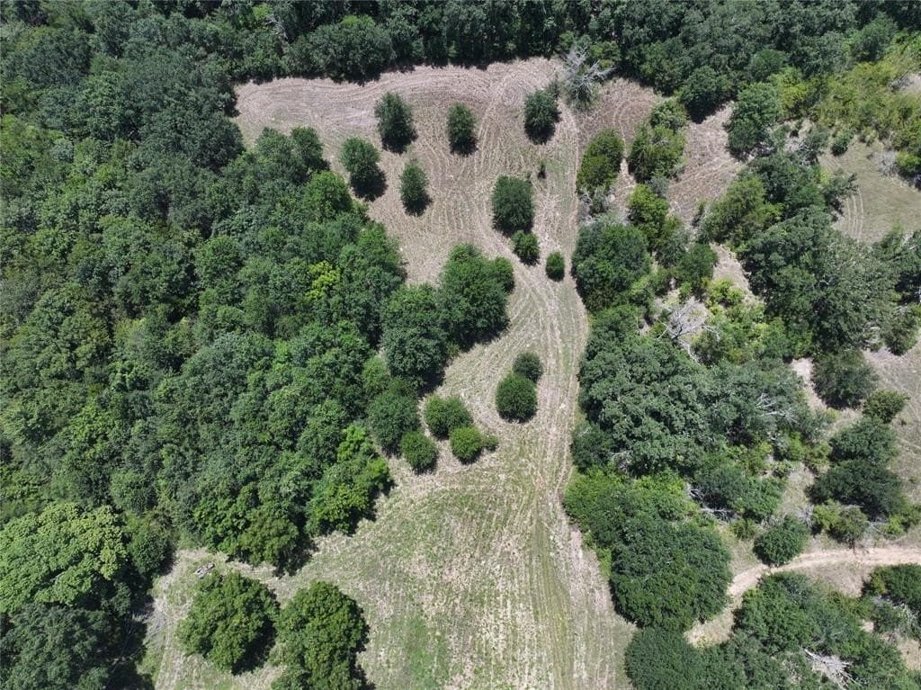 9.72 acres in Kaufman County gallery image 3