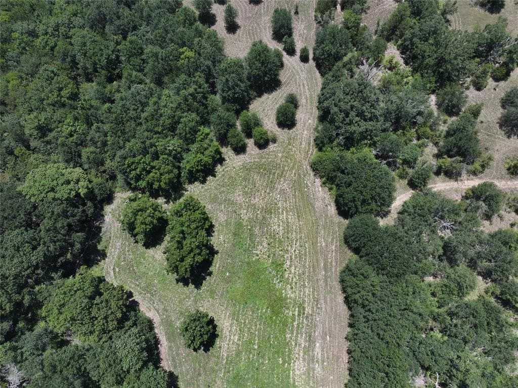 9.72 acres in Kaufman County gallery image 2