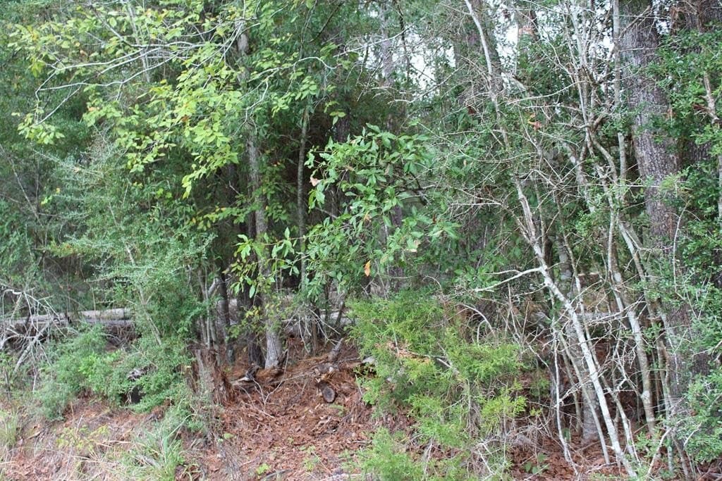 0.34 acres in Texas County - photo 3