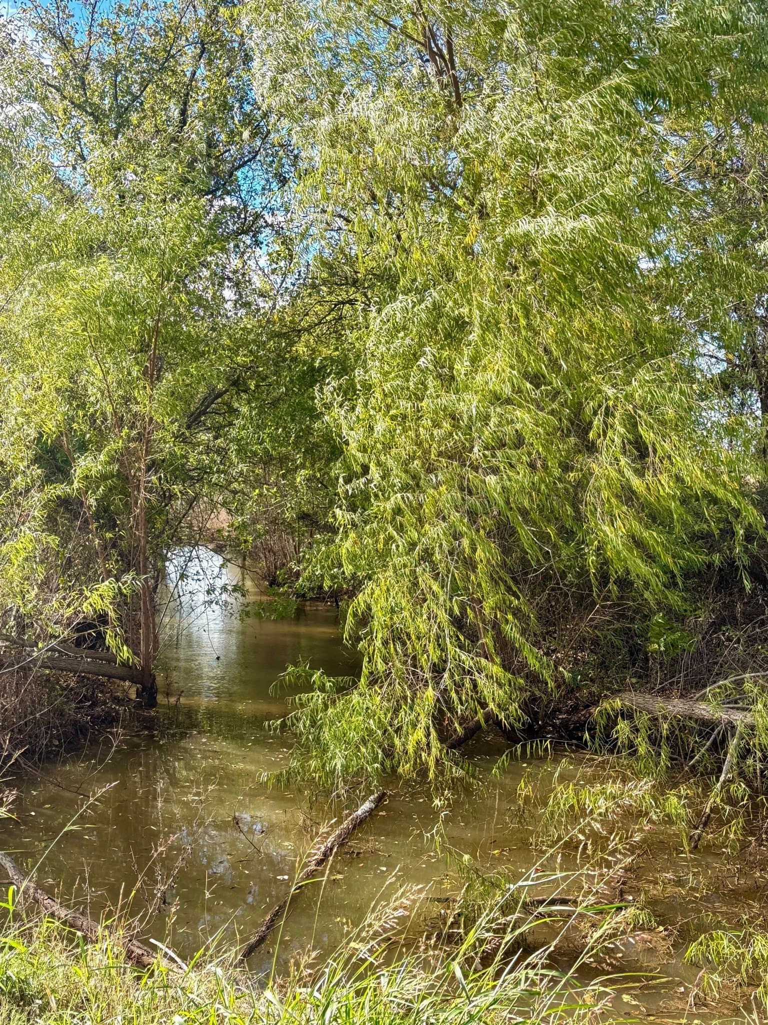 25 acres in McLennan County - photo 6
