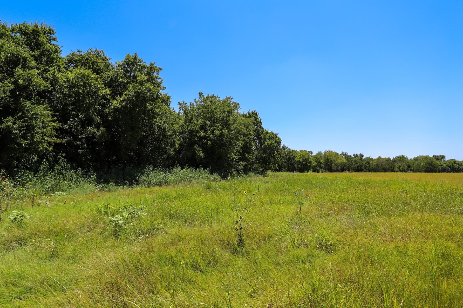 25 acres in McLennan County featured view