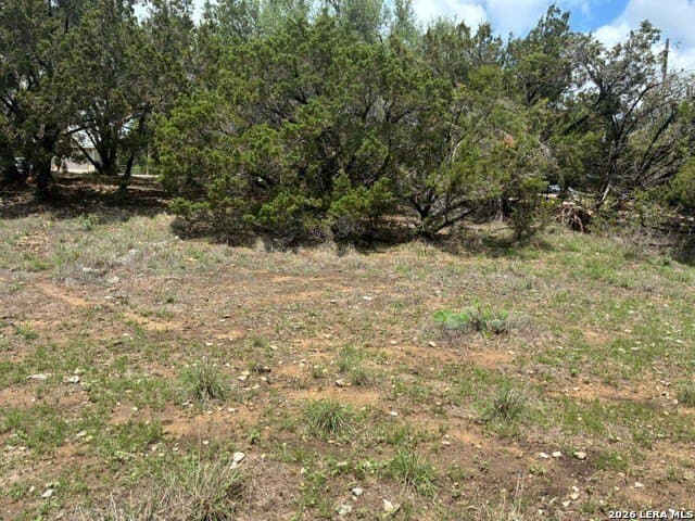 0.18 acres in Comal County gallery image 2