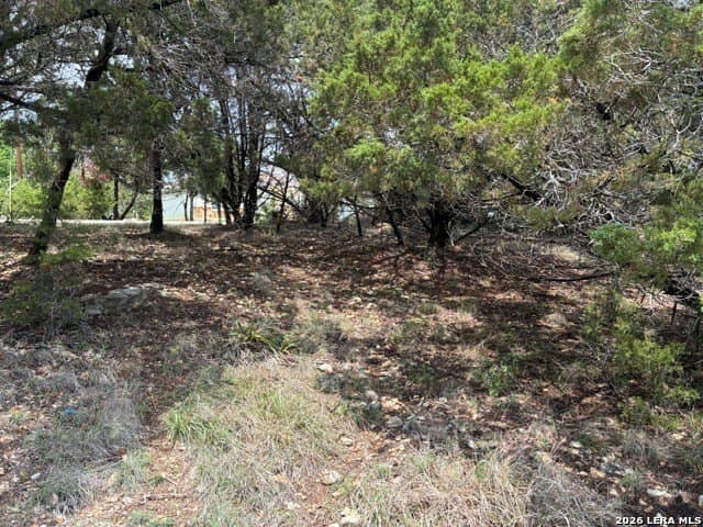 0.18 acres in Comal County gallery image 4
