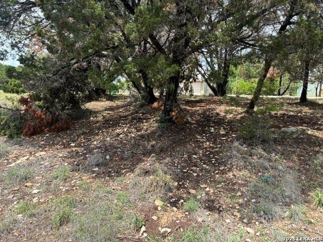 0.18 acres in Comal County gallery image 3