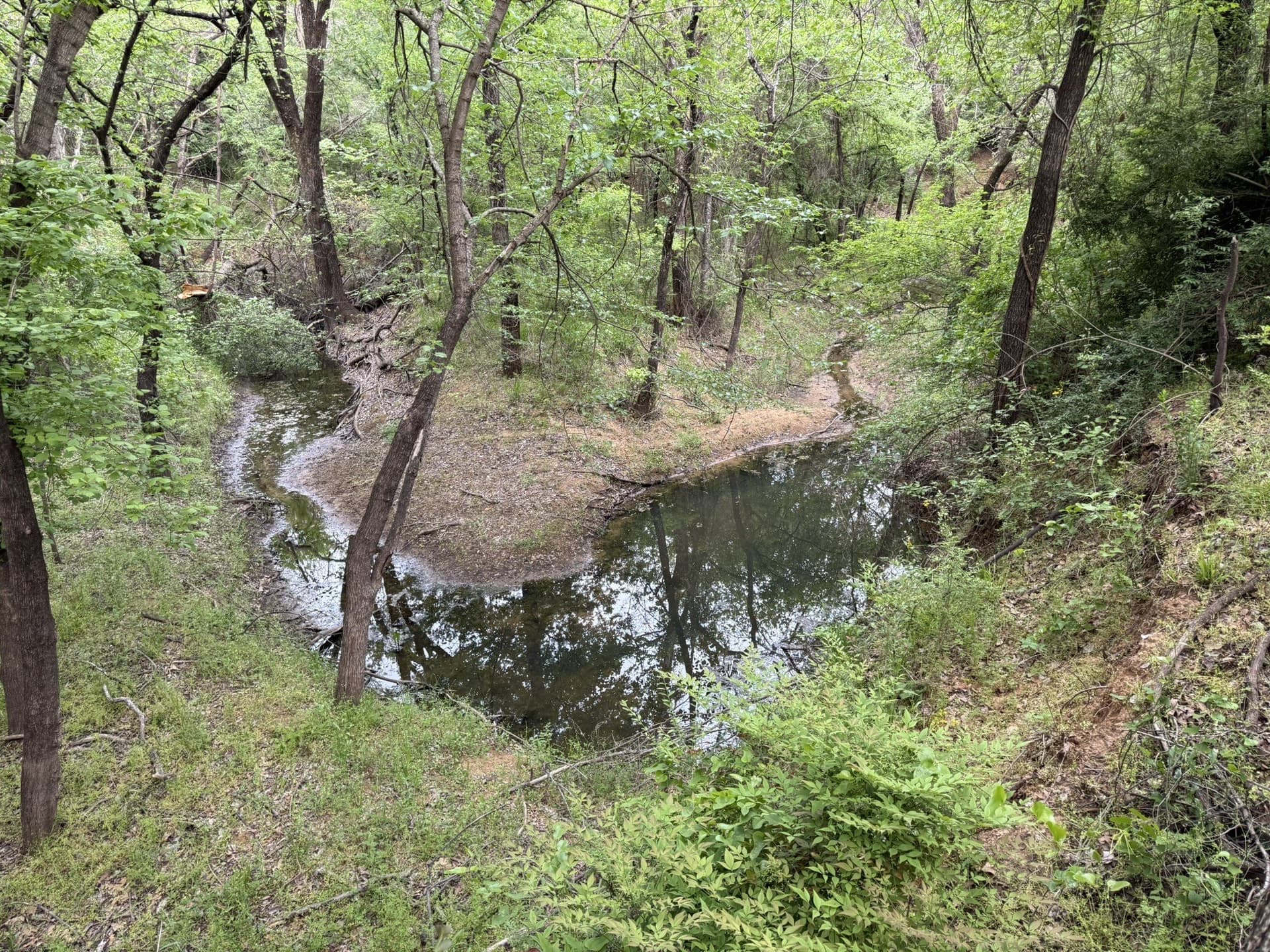 0.83 acres in Denton County gallery image 3