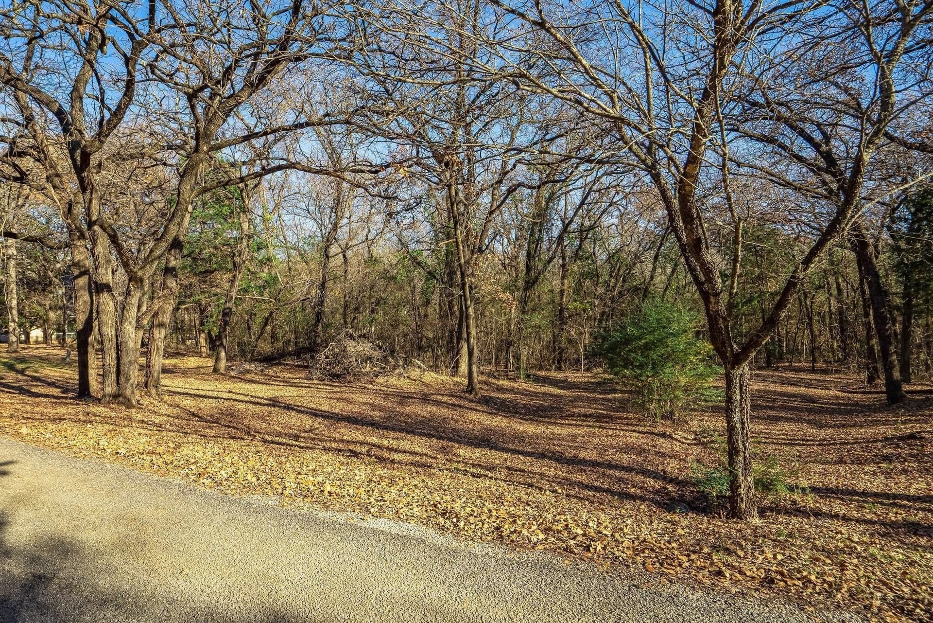0.83 acres in Denton County gallery image 2