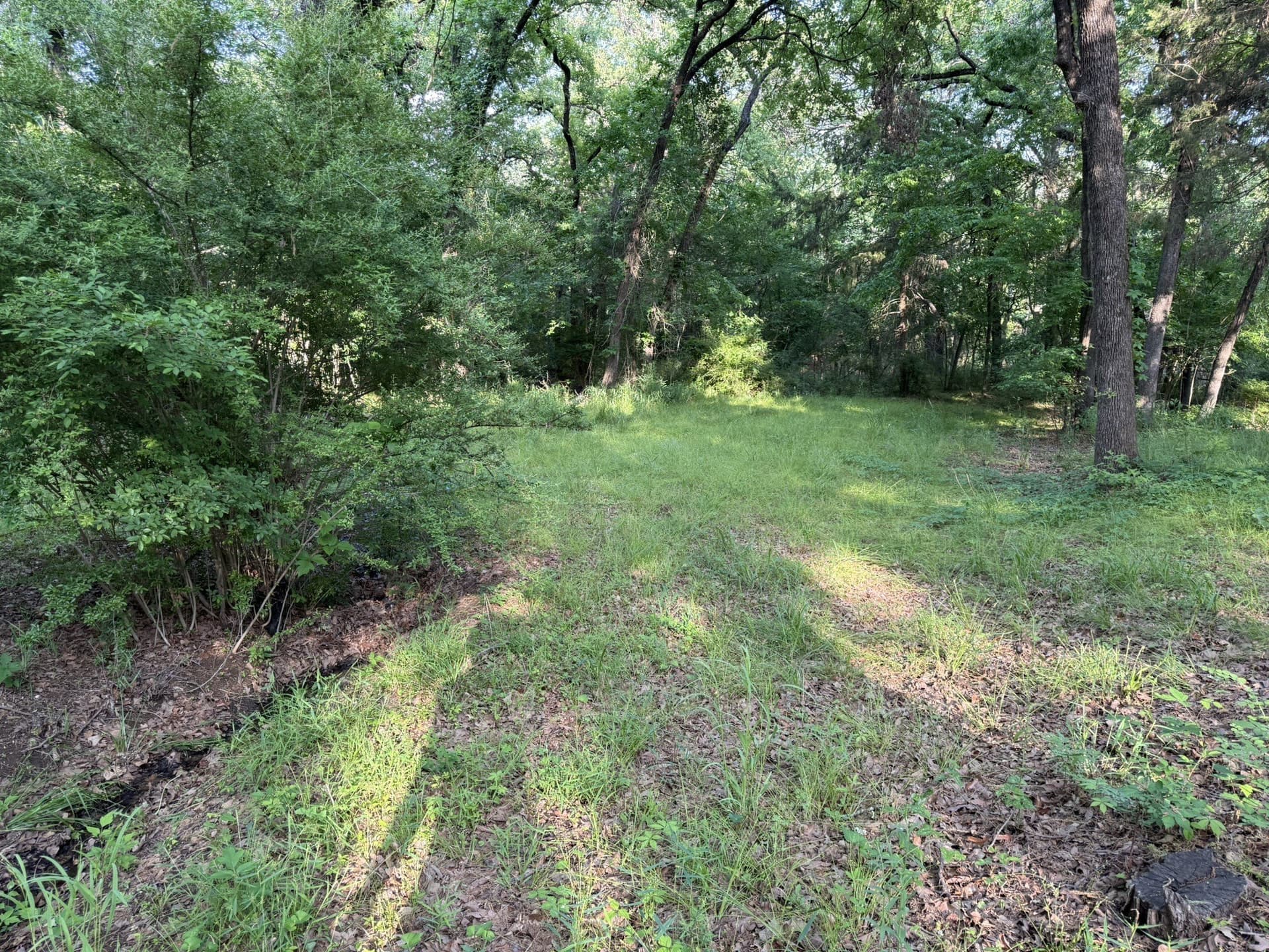 0.83 acres in Denton County - photo 9