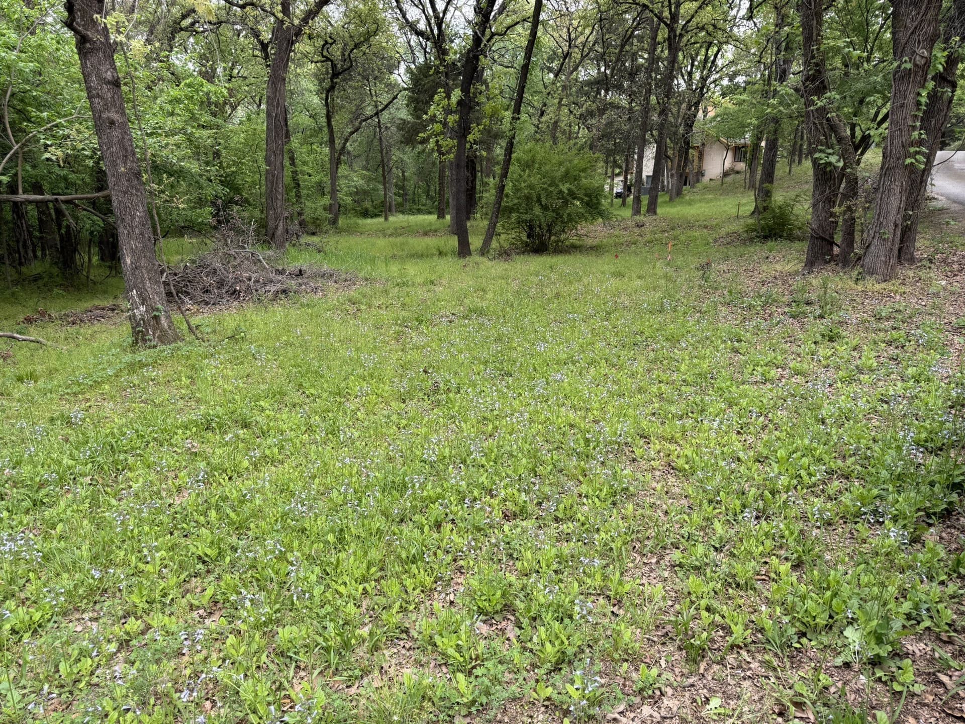 0.83 acres in Denton County - photo 7