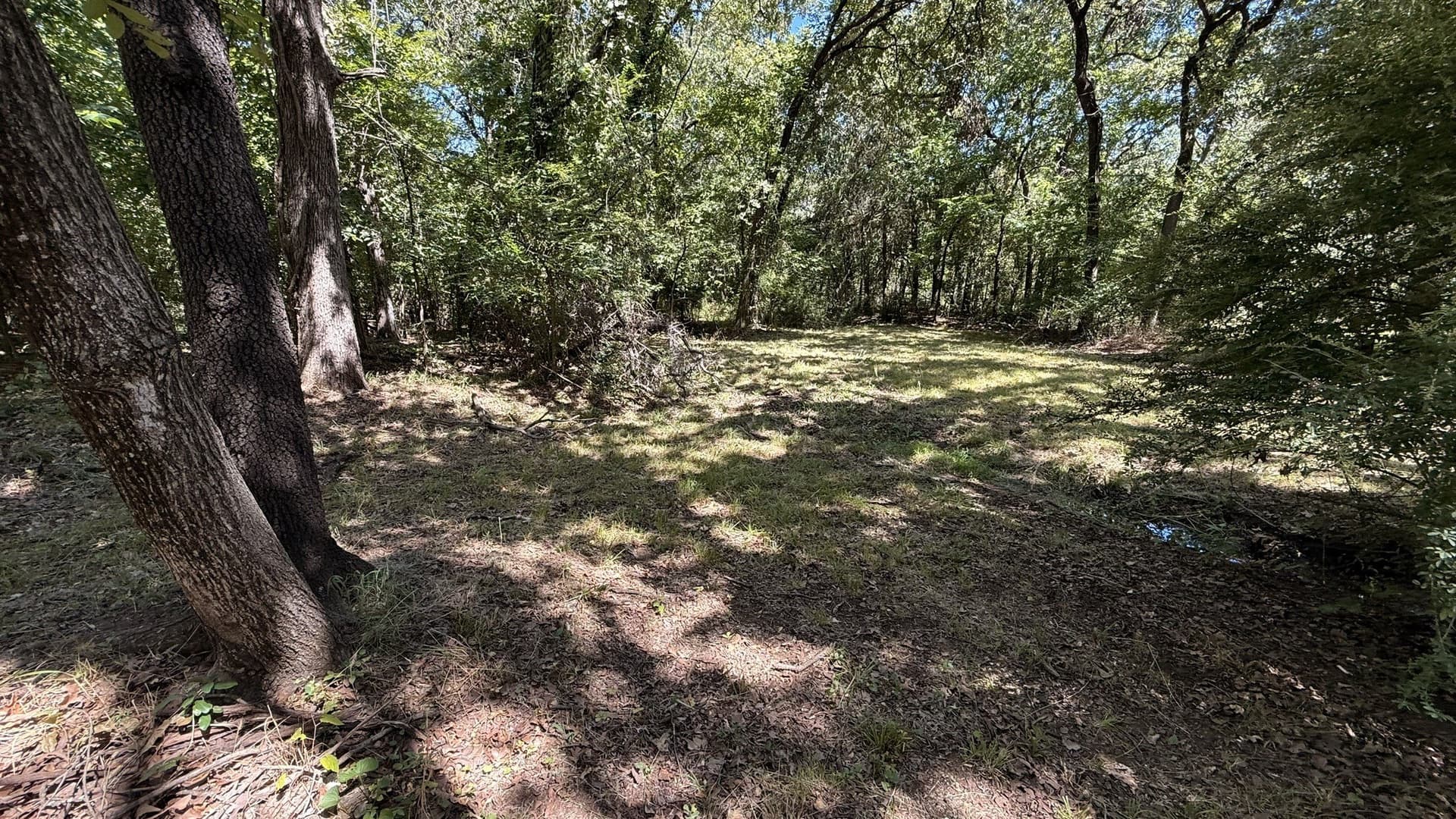 0.83 acres in Denton County - photo 15