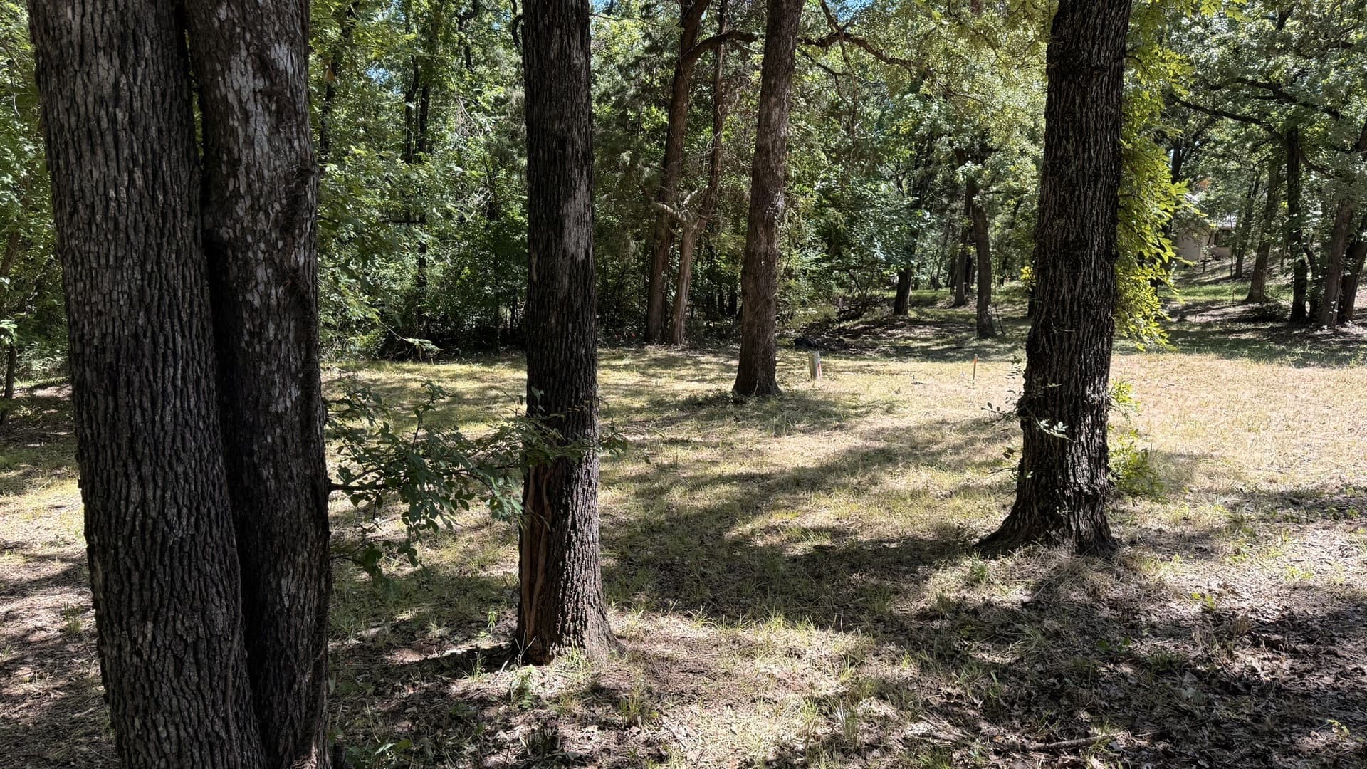 0.83 acres in Denton County - photo 12