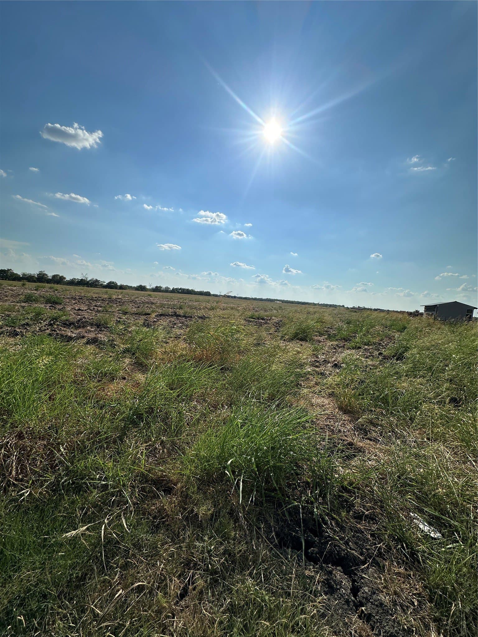 0.26 acres in Hunt County - photo 4