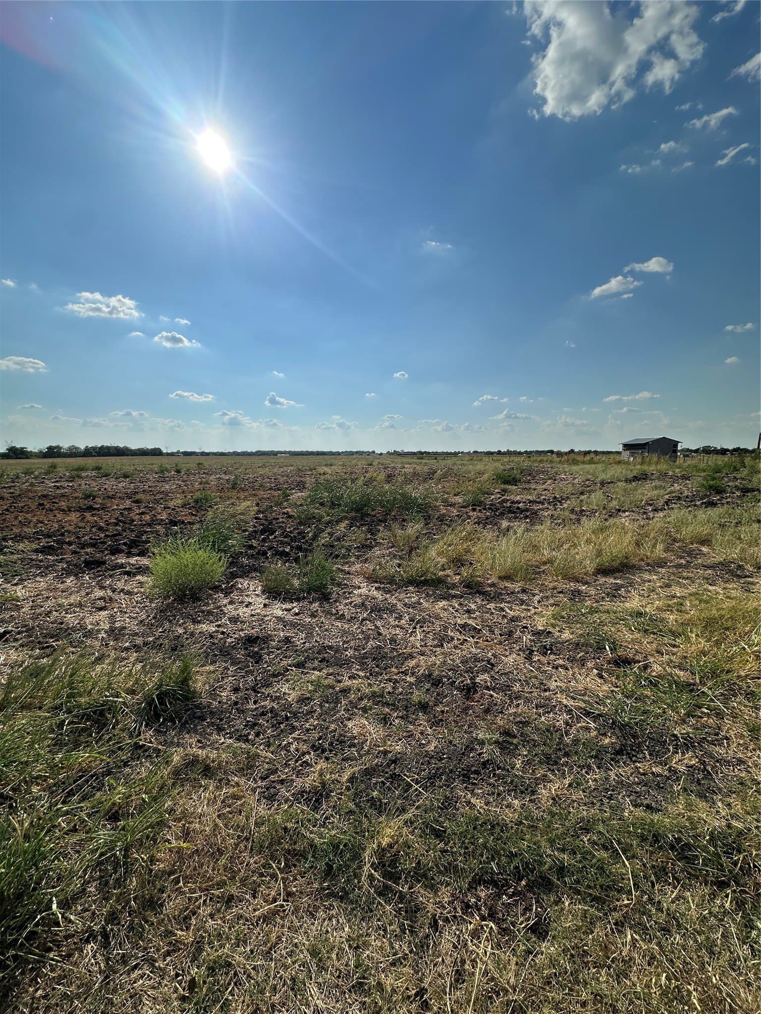 0.26 acres in Hunt County - photo 5