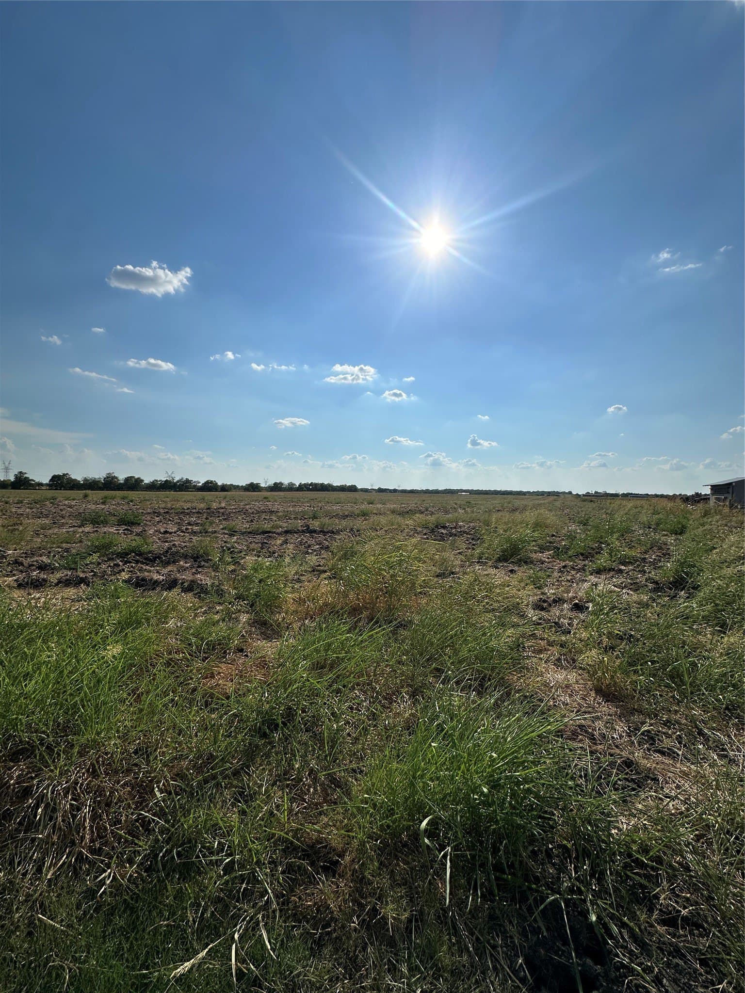 0.26 acres in Hunt County - photo 3