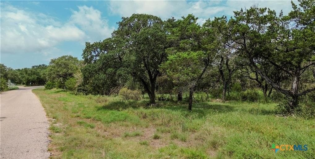 1.11 acres in Bell County gallery image 3