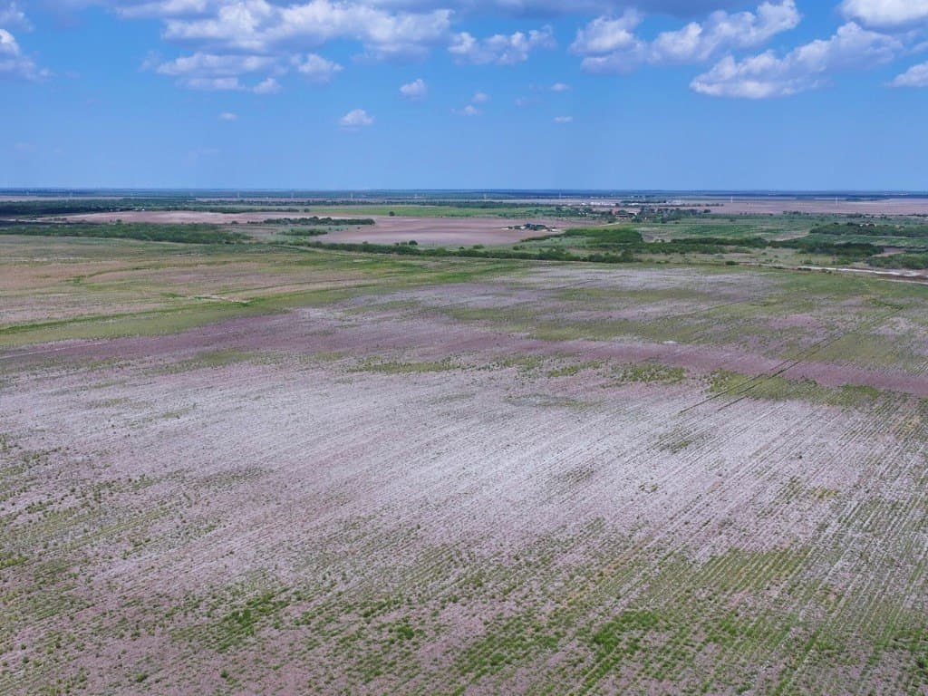 12.4 acres in Kleberg County - photo 3