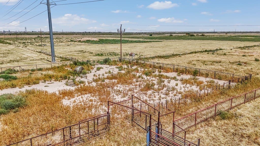 159 acres in Midland County - photo 18