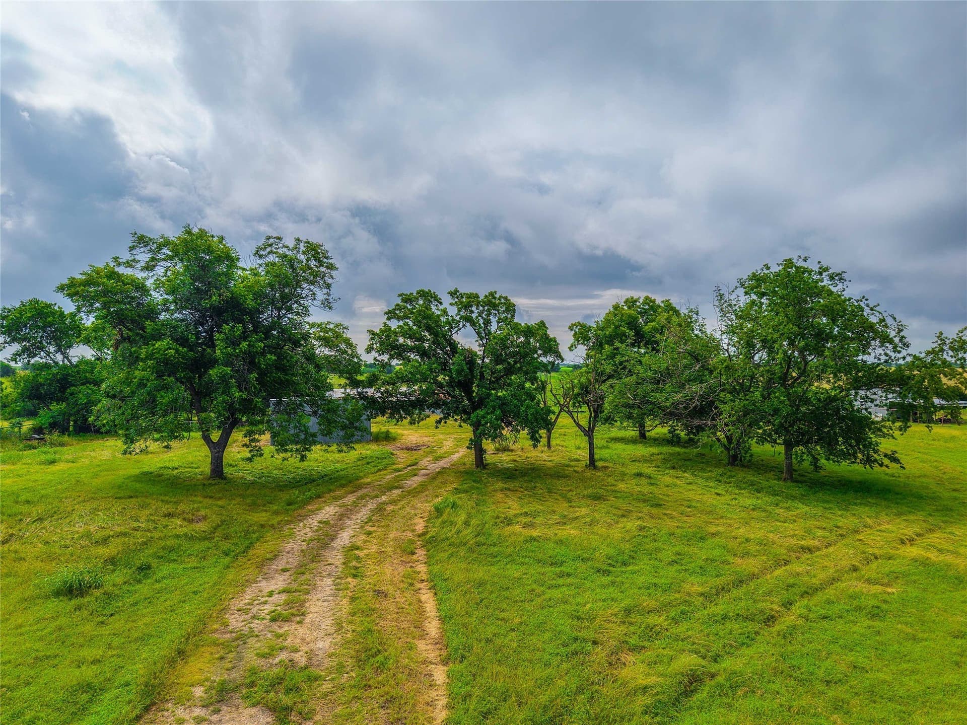 156.1 acres in Bell County - photo 25
