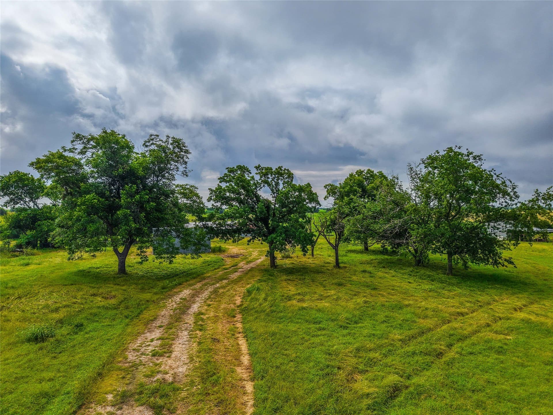 156.1 acres in Bell County - photo 11