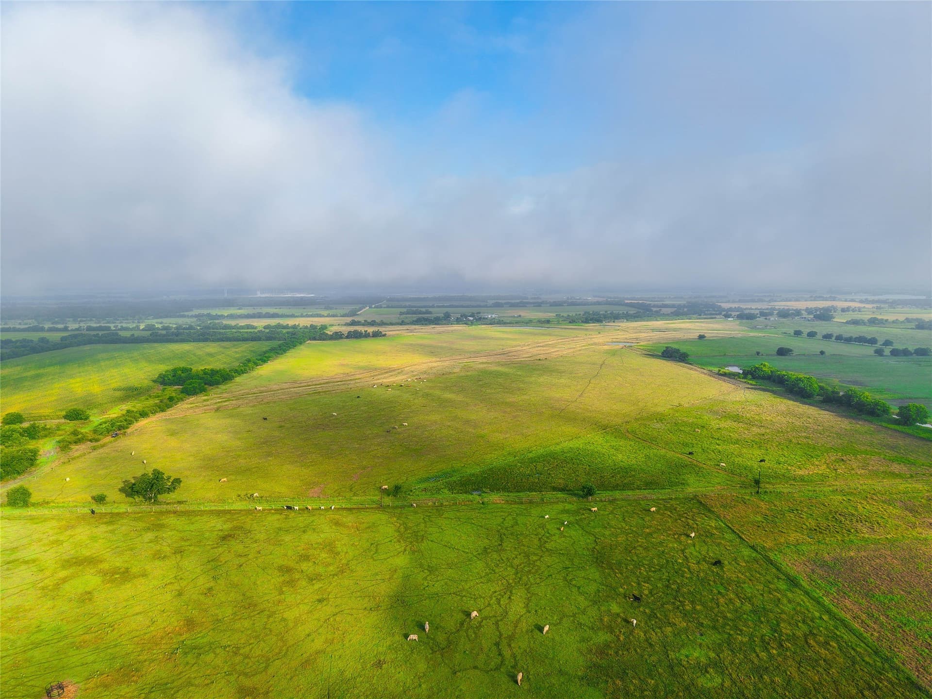 156.1 acres in Bell County - photo 5