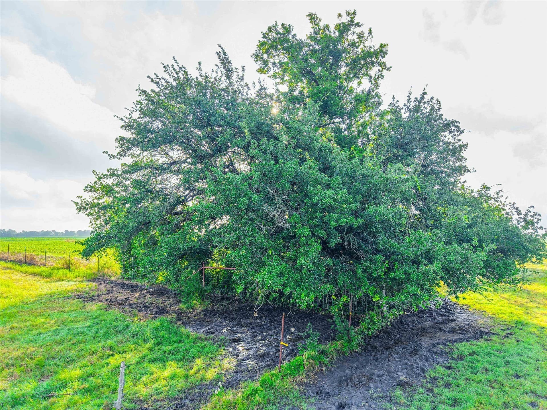 156.1 acres in Bell County - photo 10