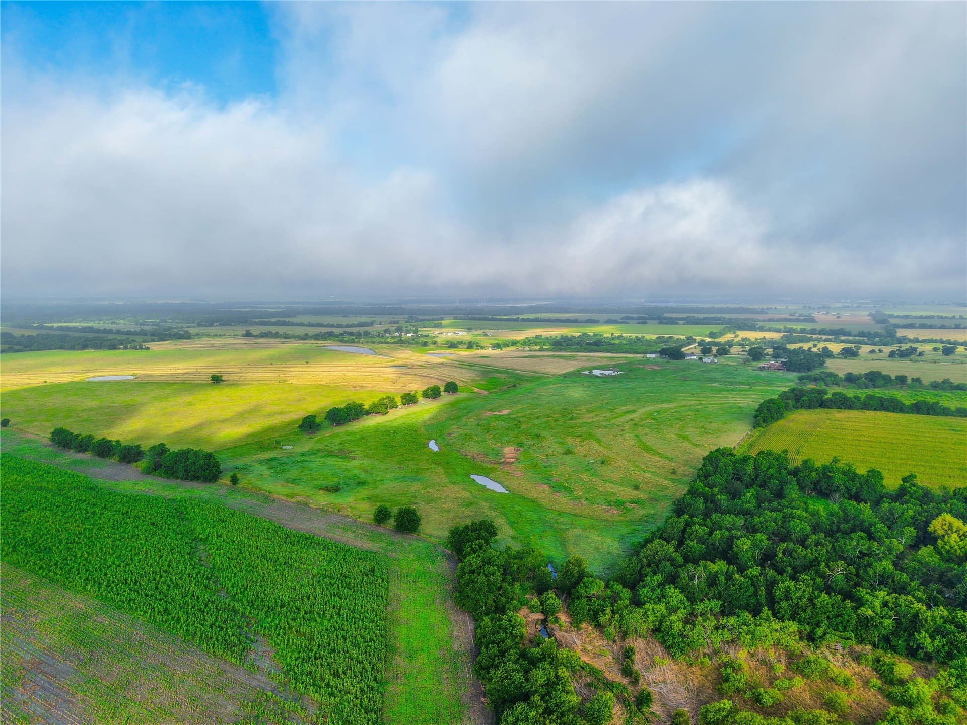 156.1 acres in Bell County - photo 6