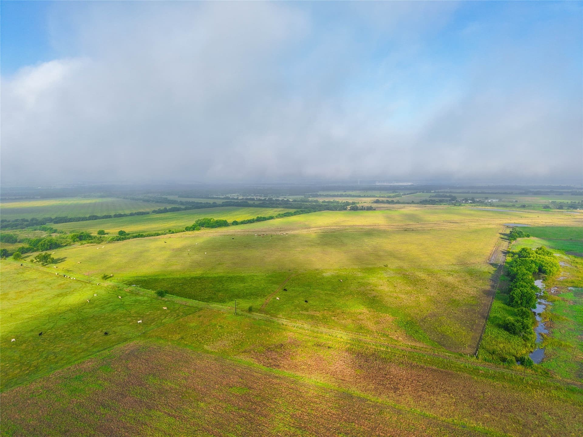 156.1 acres in Bell County - photo 23