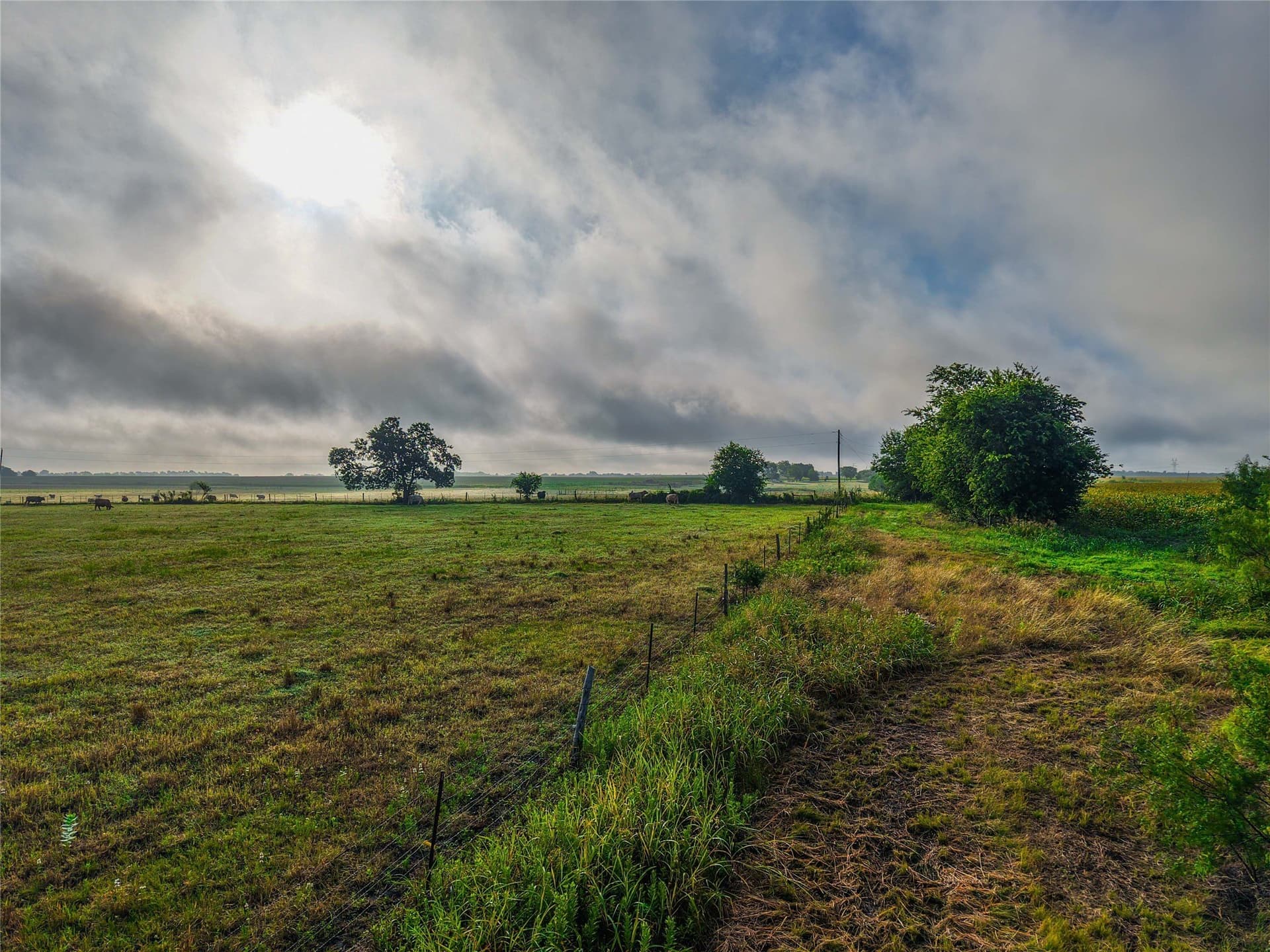 156.1 acres in Bell County - photo 9