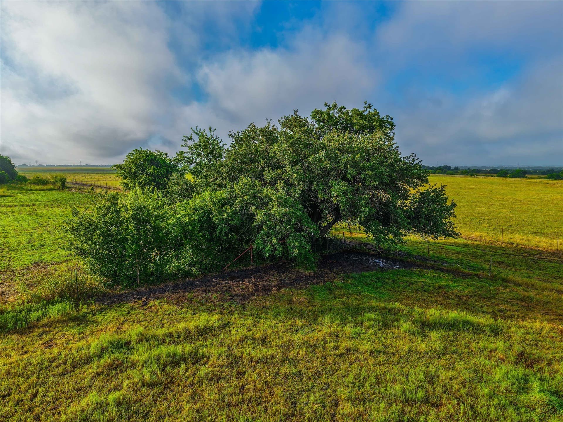 156.1 acres in Bell County - photo 13