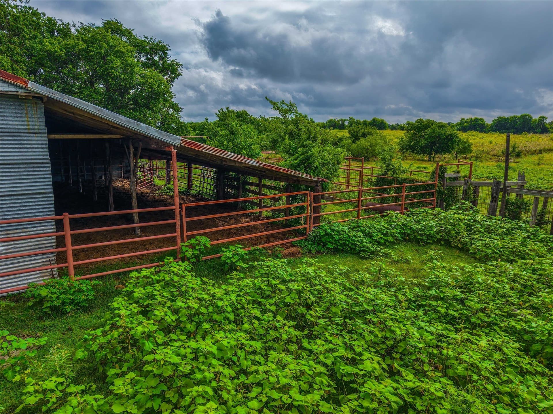156.1 acres in Bell County - photo 12
