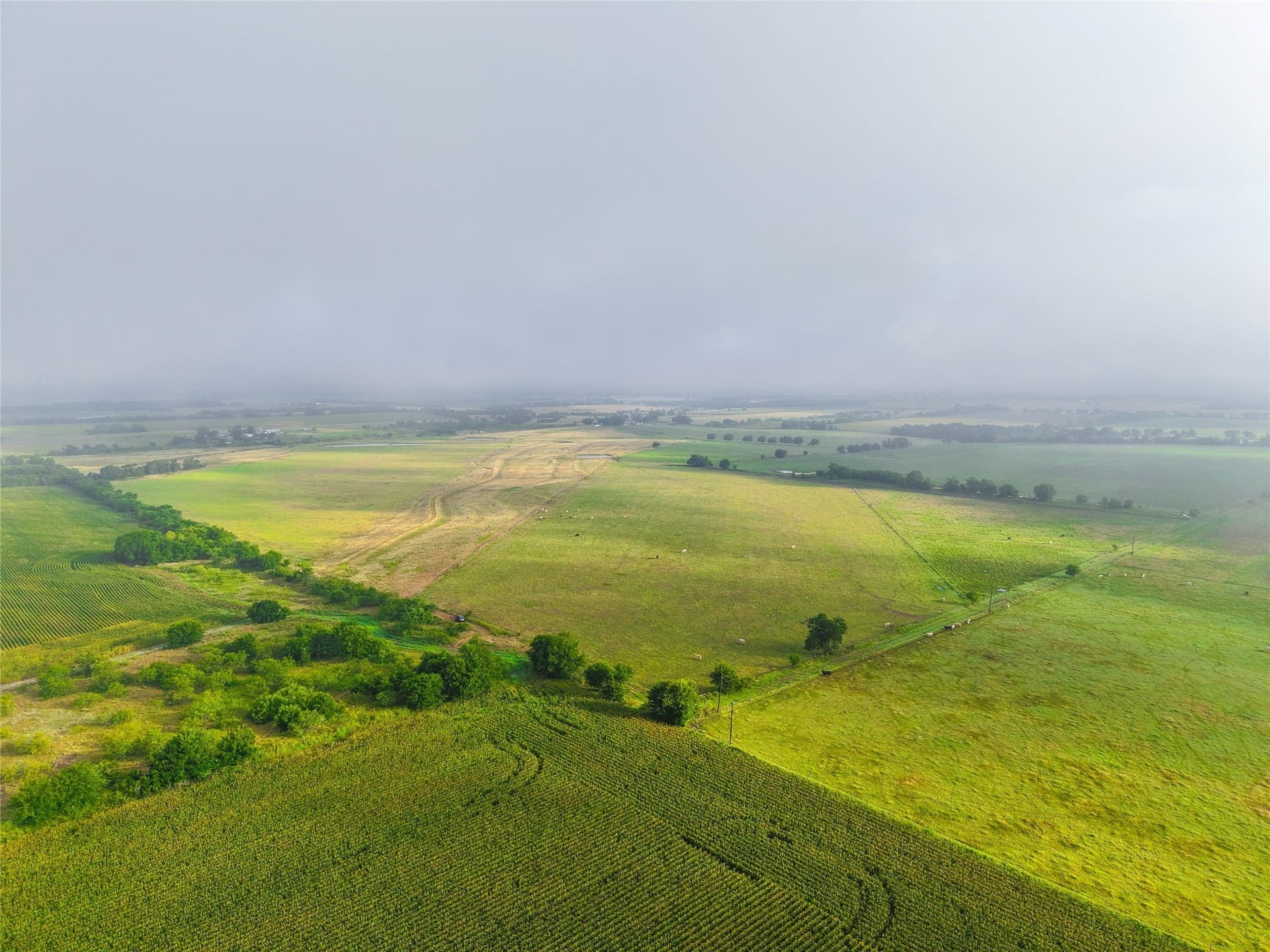 156.1 acres in Bell County - photo 24