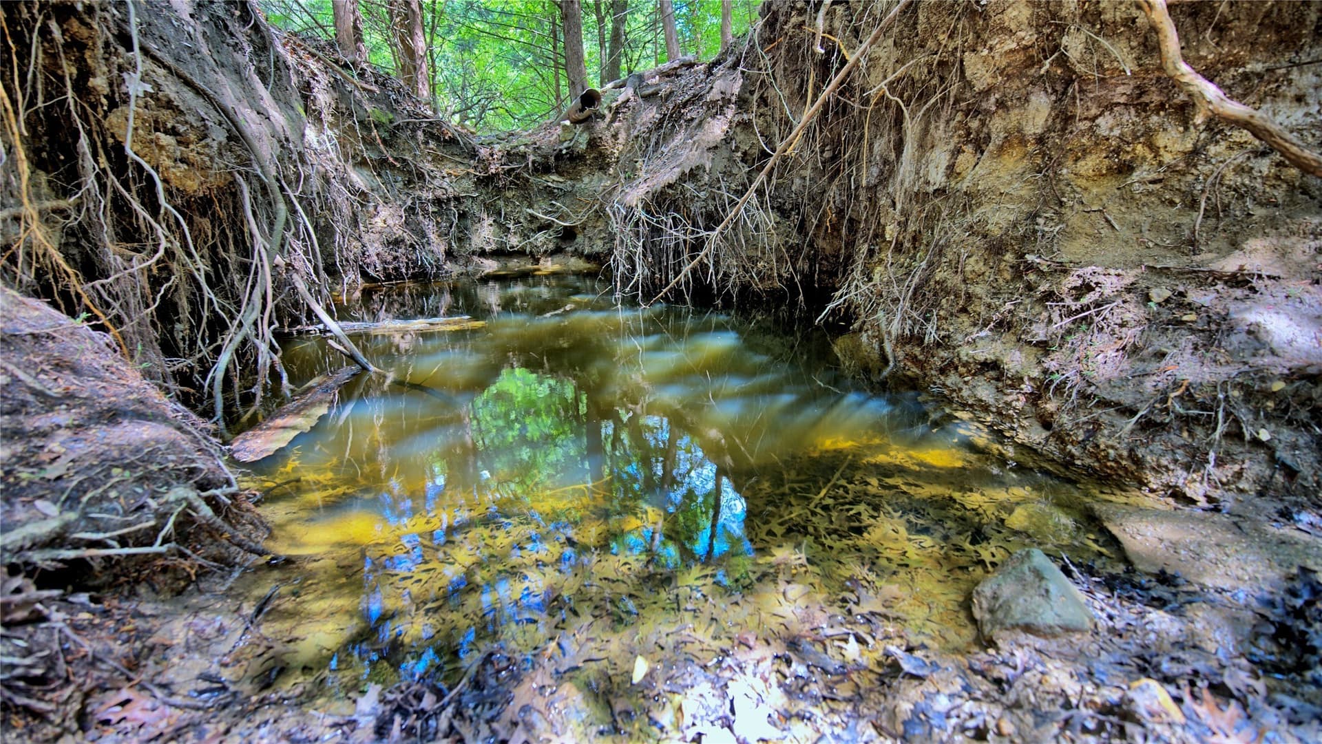 85.95 acres in Montague County - photo 7