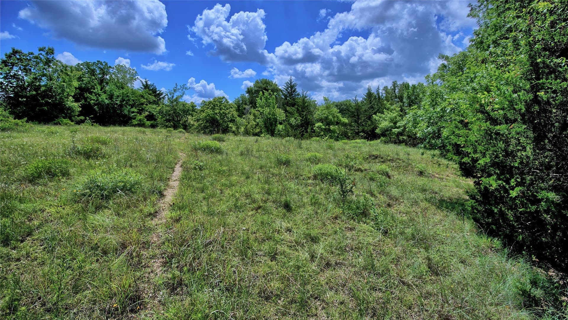 85.95 acres in Montague County - photo 11
