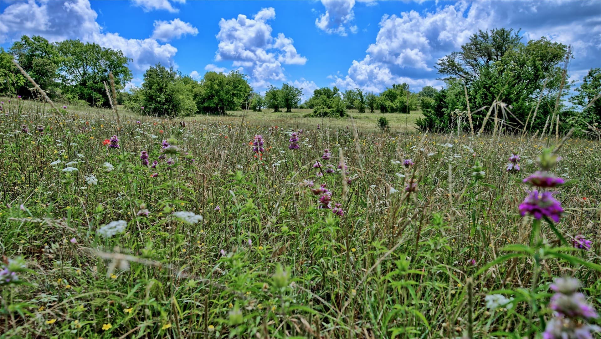 85.95 acres in Montague County - photo 12