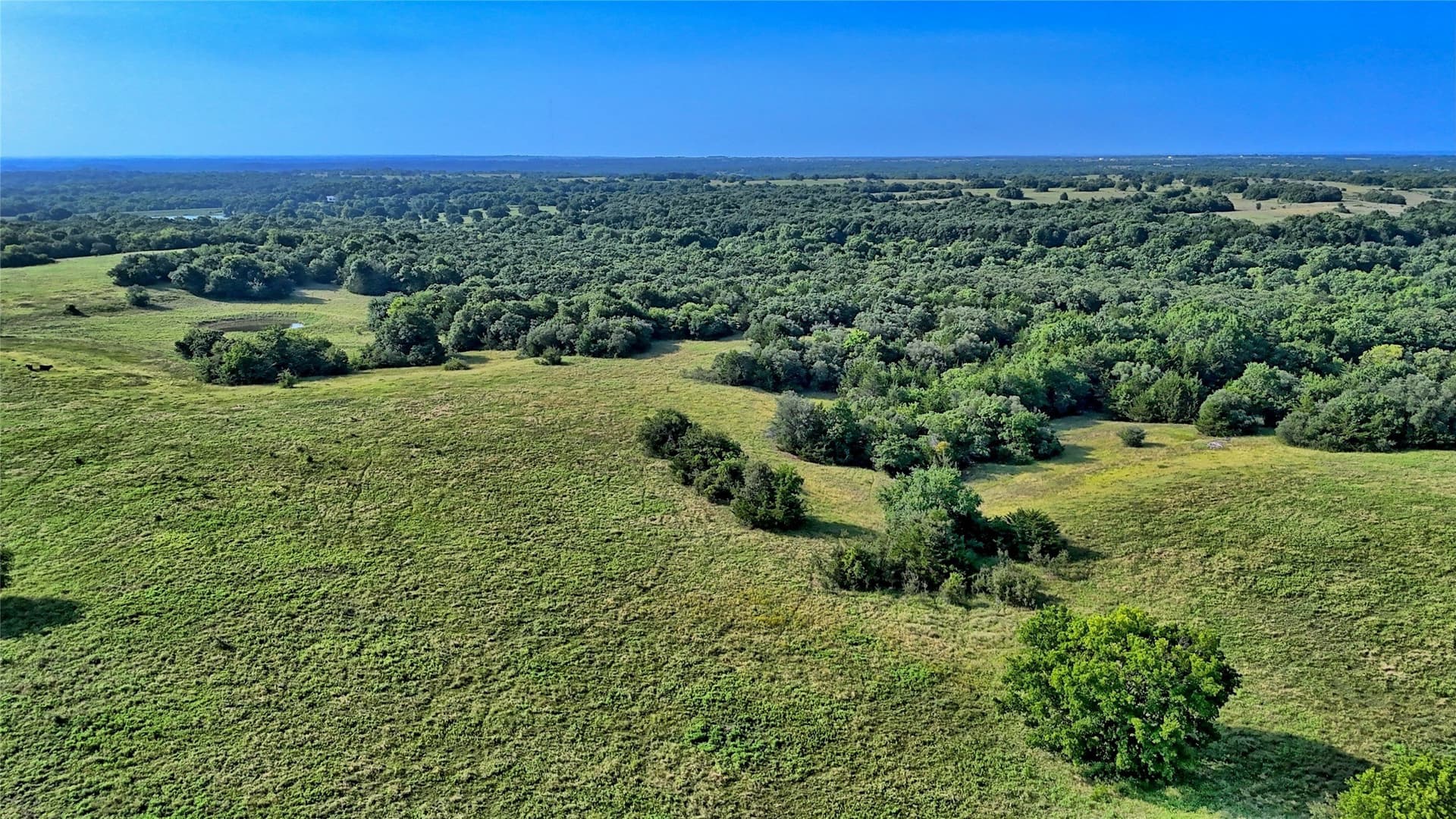 85.95 acres in Montague County - photo 25