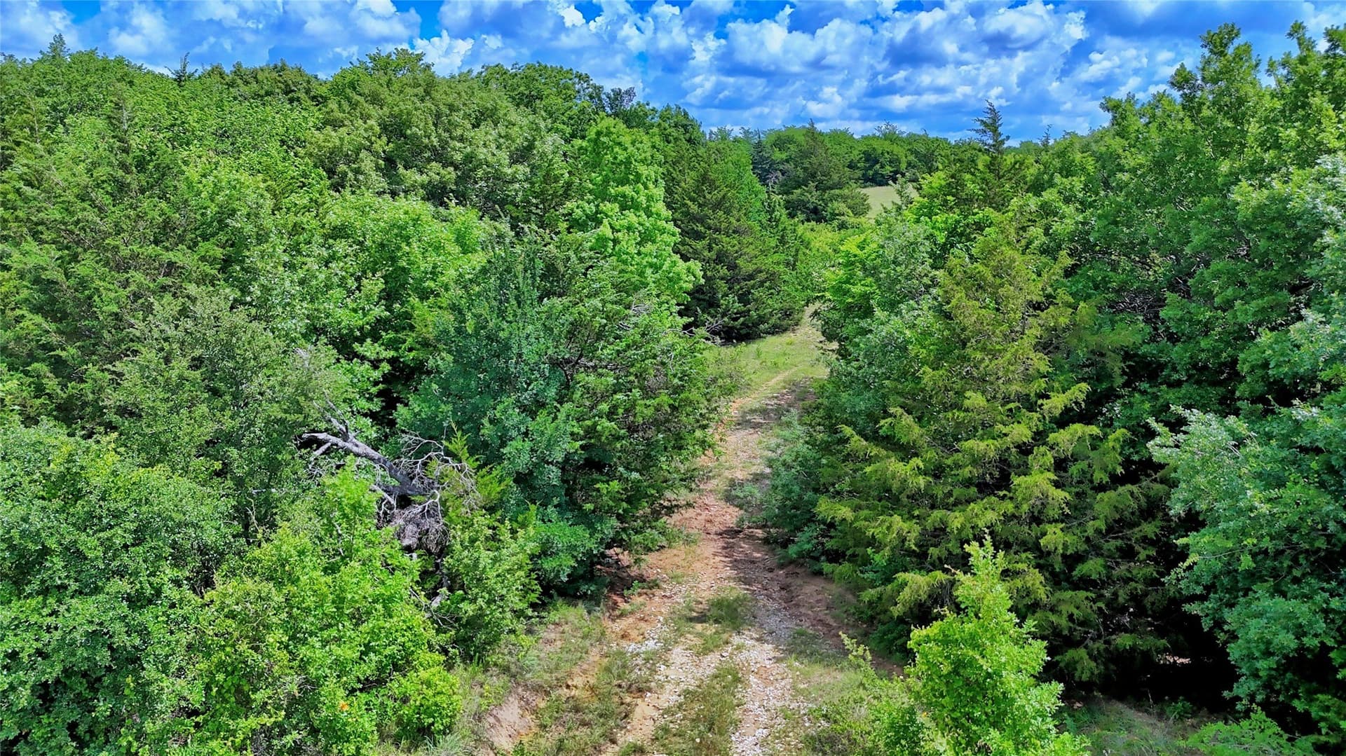 85.95 acres in Montague County - photo 23